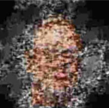 Compression and recompression of JPEG: stability, artifacts, and iterative image collapse